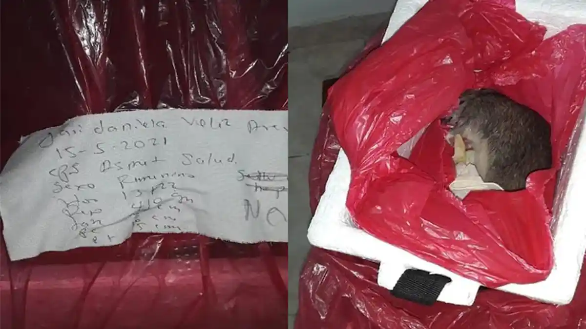 Bayinya Meninggal Sebelum Lahir, Pasutri Ini Kaget Lihat Isi Peti Mati yang Diberikan Rumah Sakit