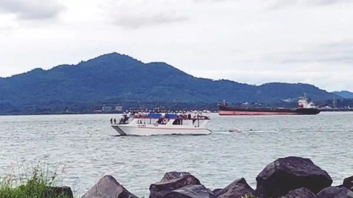Jadwal Kapal Hari Ini di Pelabuhan Manado, Kamis 11 Juni 2026