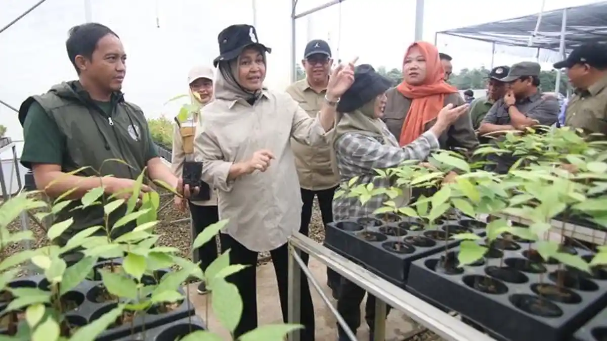 Menteri Kehutanan Raja Juli Antoni Optimistis Konsep Forest City di IKN Terwujud