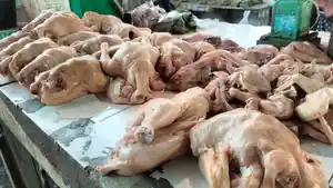 harga-daging-ayam-di-musi-rawas.jpg