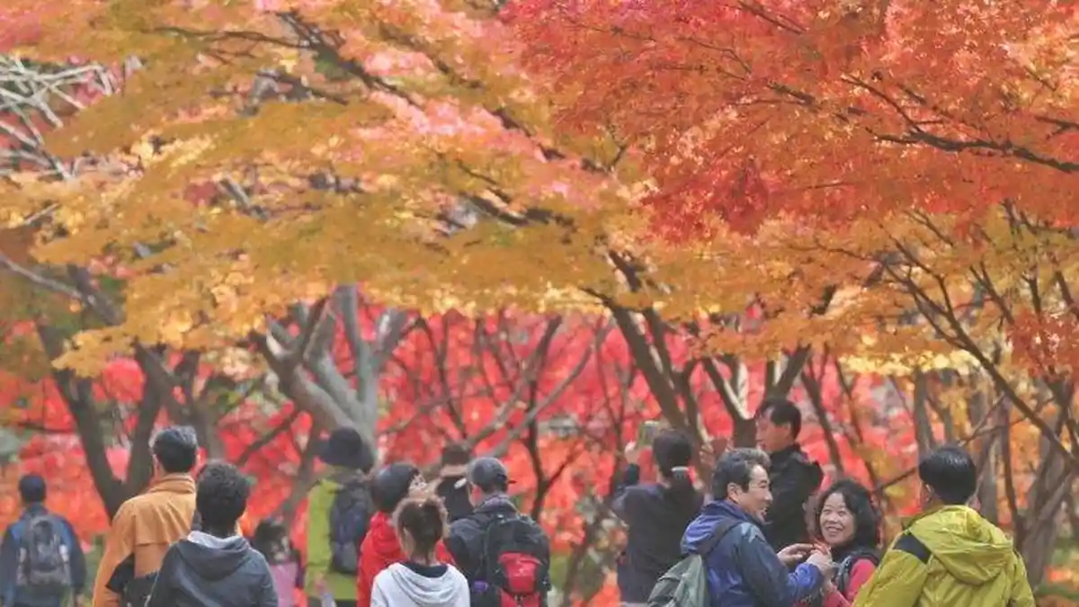 5 Tempat Wisata Gratis di Korea Selatan, Bikin Hemat Saat Liburan di Luar Negeri