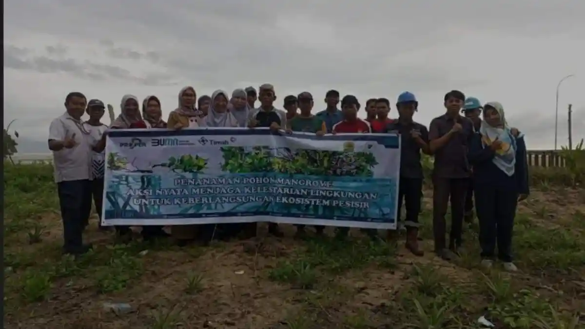 PT Timah dan Kelompok Masyarakat Tanam Mangrove di Pesisir Teluk Rubiah