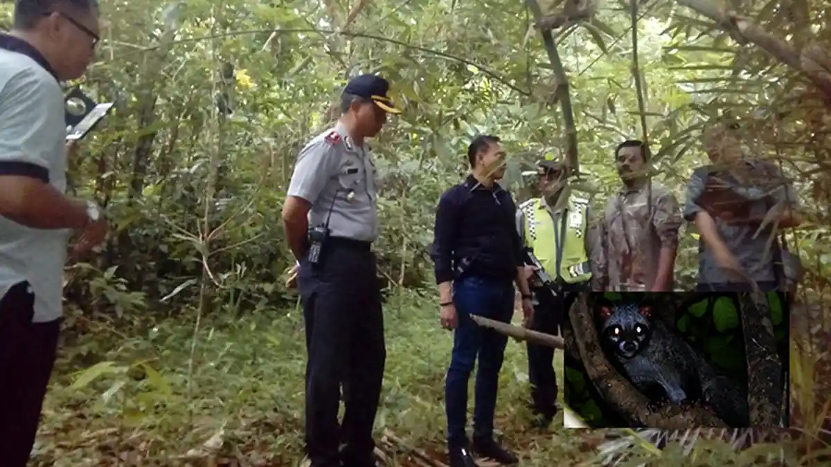 Dikira Mata Musang Ternyata Senter Korban, Kadek Sudayasa Tewas Tertembak di Tabanan