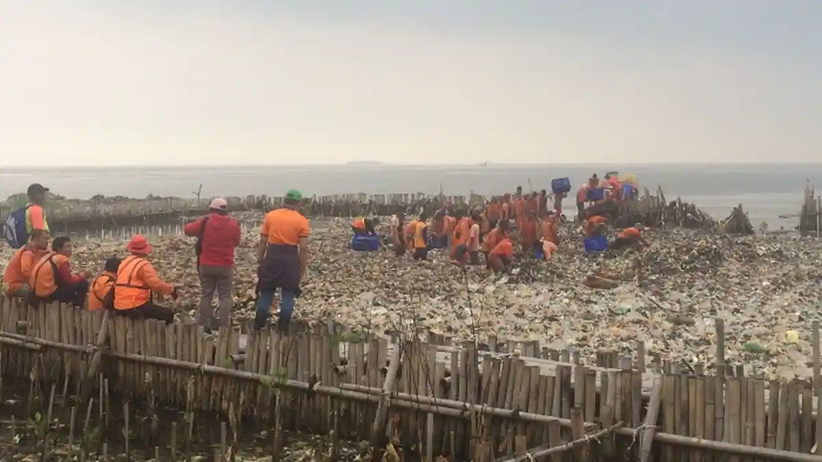 Sampah Hutan Mangrove, Pejabat Saling Tuduh