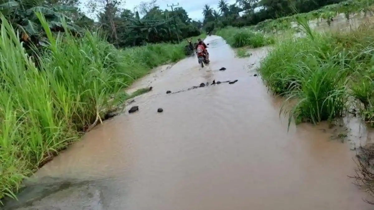 Banjir Sulsel Rendam 7.221 Hektar Sawah, 3675 Hektar Kebun Jagung dan 140 Hektar Cabai