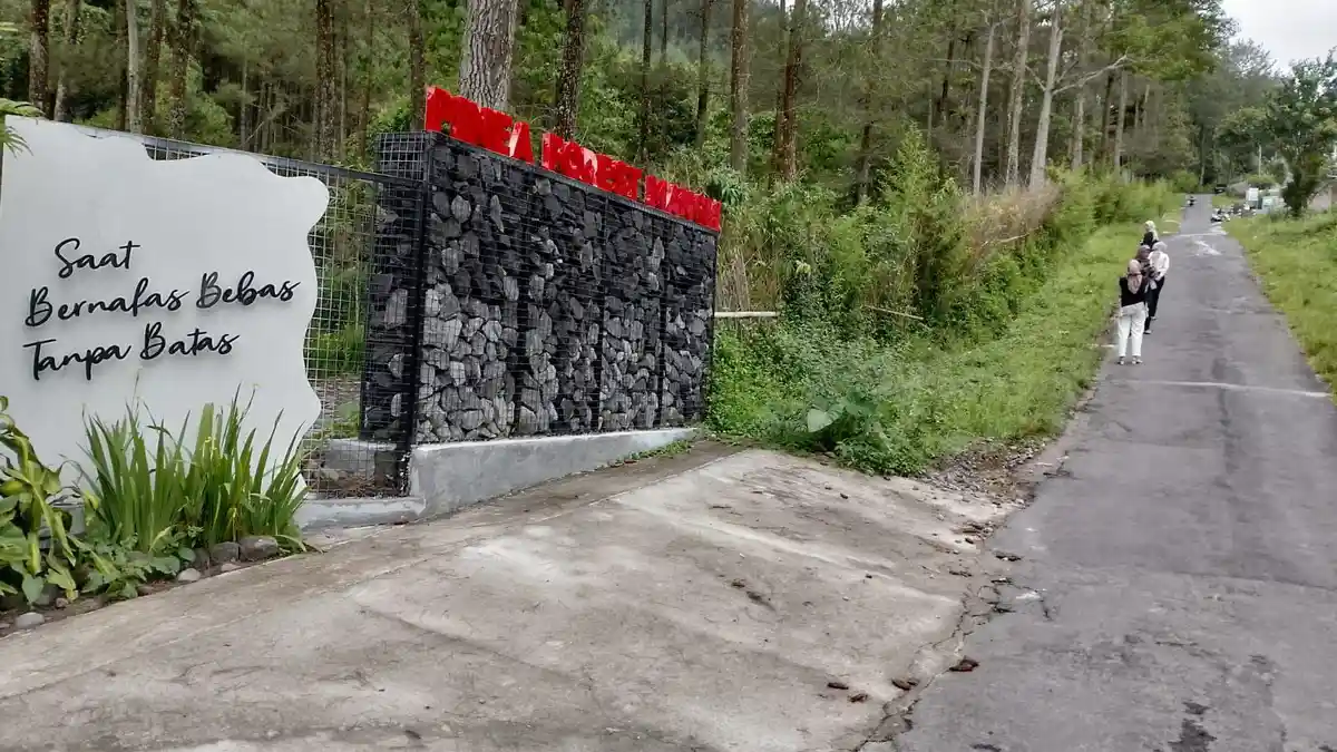 Pinea Forest Mangli Jadi Daya Tarik Wisata Baru di Desa Girirejo Magelang