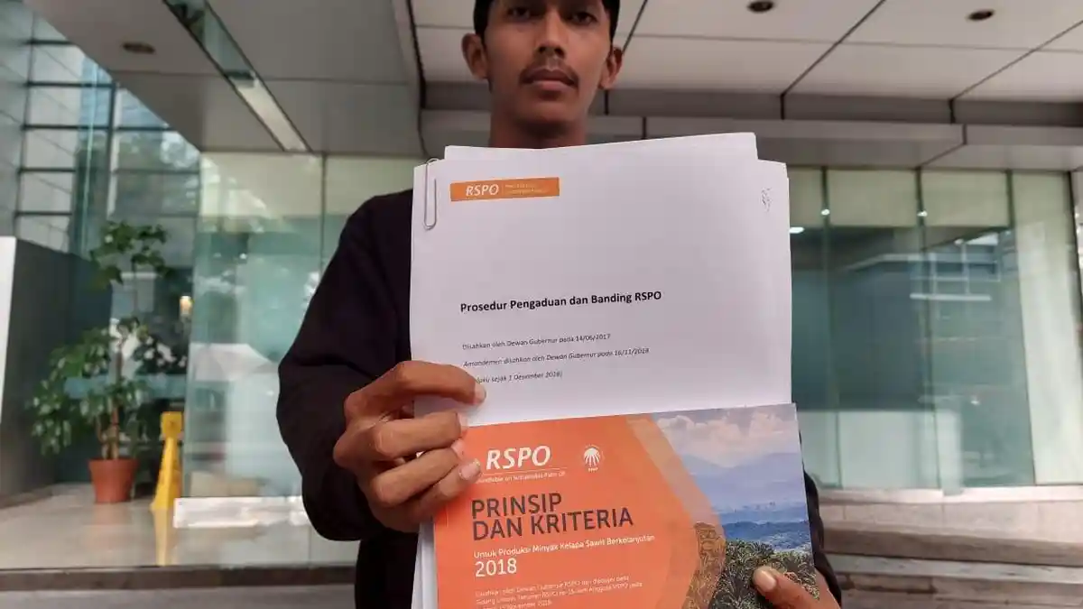 RSPO Mulai Diagnosa Pelanggaran Hak Plasma oleh PT Rea Kaltim Plantation Group