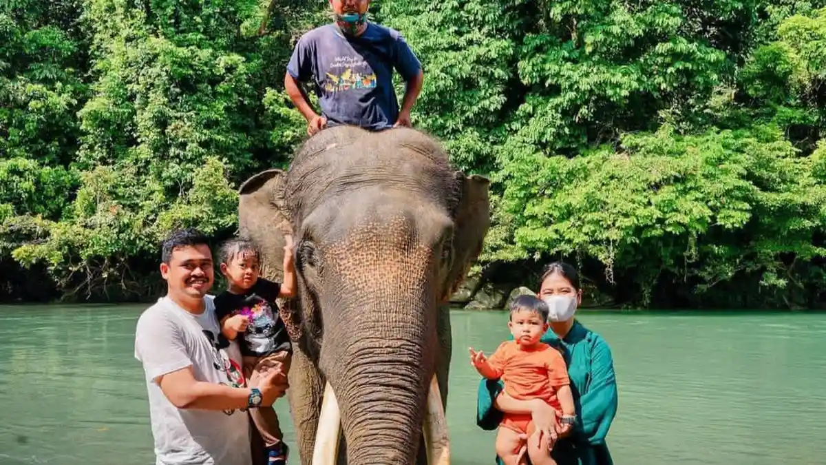 Wisata 3 Hari 2 Malam di Tangkahan dan Bukit Lawang, Rekomendasi Liburan Akhir Pekan Bersama Alam