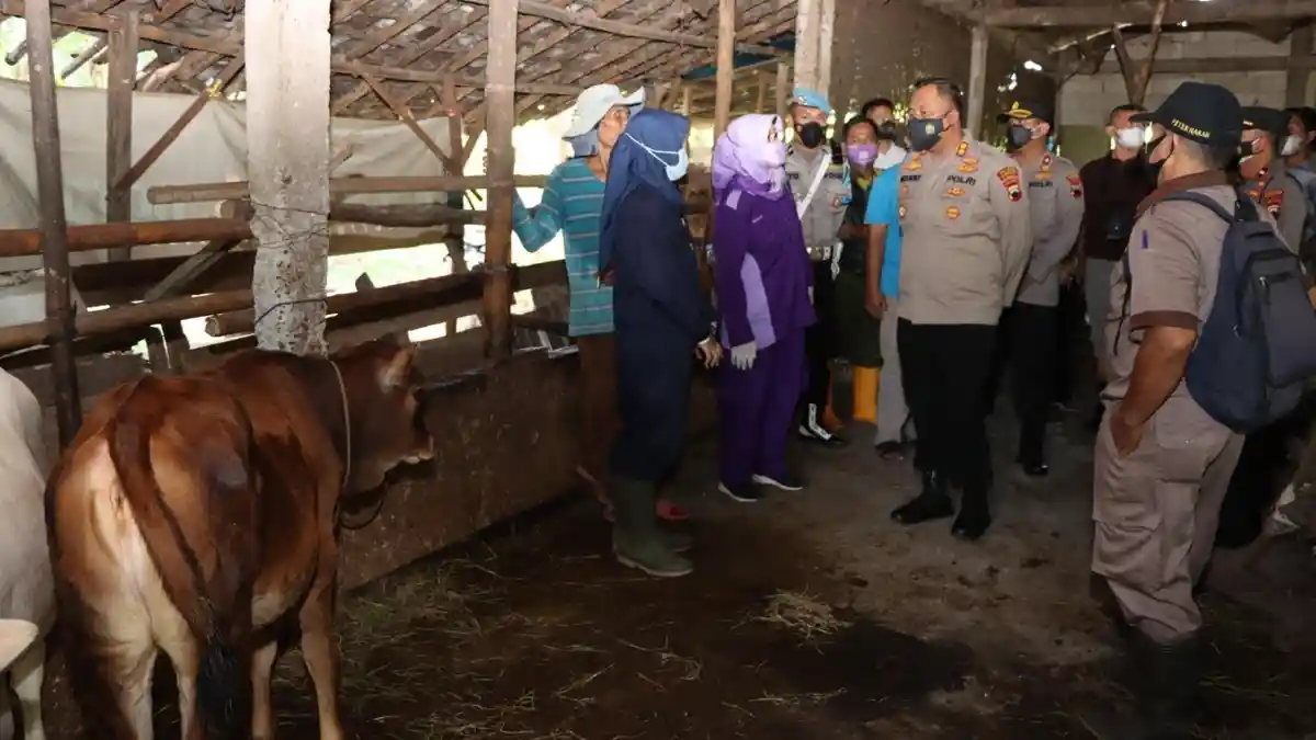 Antisipasi Virus PMK, Polres Demak Bersama Dinas Terkait Cek Pasar Hewan dan Peternakan