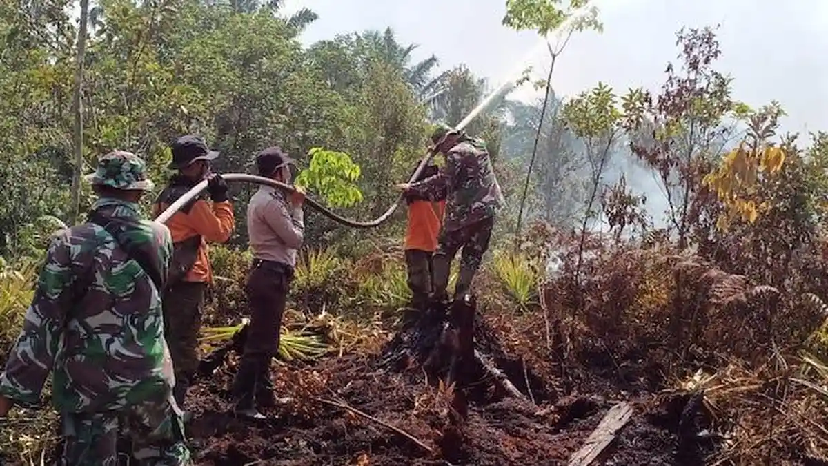 138 Orang Jadi Tersangka Kasus Karhutla Sepanjang Tahun 2020