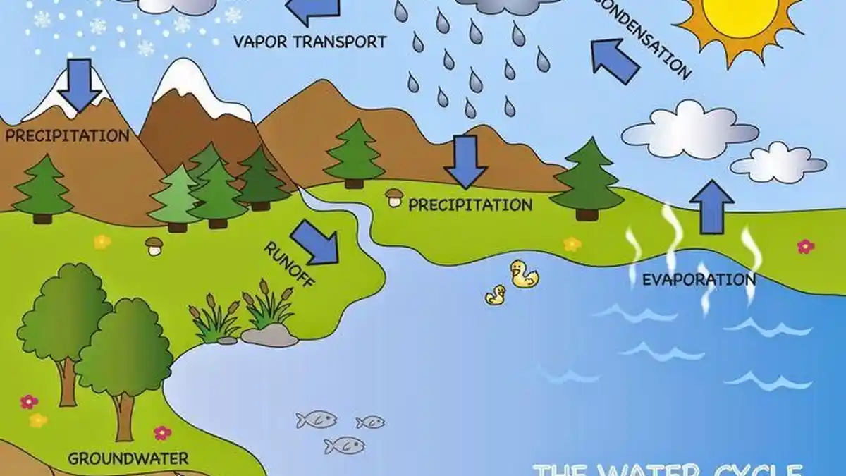 Sumber Daya: Potensi Sumber Daya, Materi Belajar Geografi