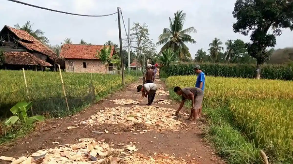 Warga Perjaya OKU Timur Gotong Royong Tambal Jalan Rusak dengan Pecahan Genteng, Akses Lebih Baik