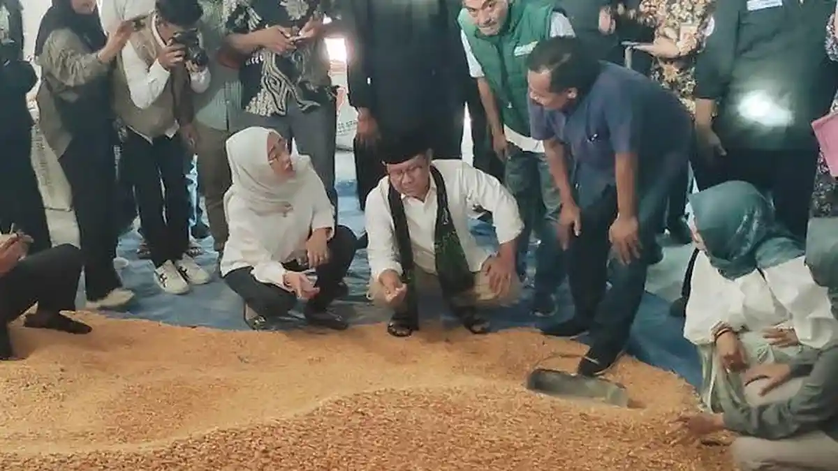 Bertemu Peternak Ayam di Ponggok Blitar, Cawapres Muhaimin Iskandar Ikut Panen Telur