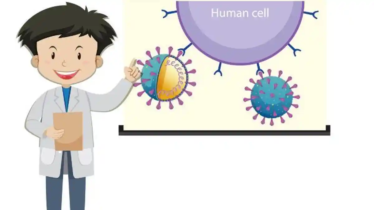 Kunci Jawaban Biologi Kelas 12 Halaman 234: Ada Berapa Macam Sel Punca Pada Manusia?