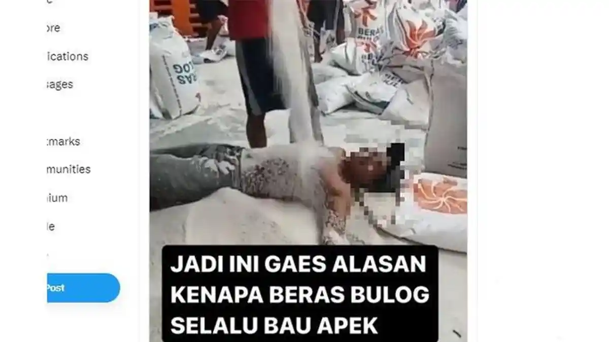 Videonya Viral, Pria Tanpa Baju yang Guling-guling di Tumpukan Beras Bulog Bakal Disanksi Tegas