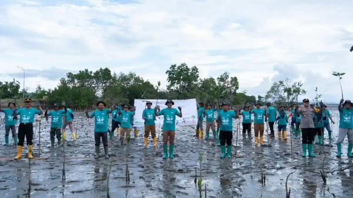 Hari Lingkungan Hidup Sedunia, PT Vale IGP Pomalaa Tanam 1000 Bibit Bakau
