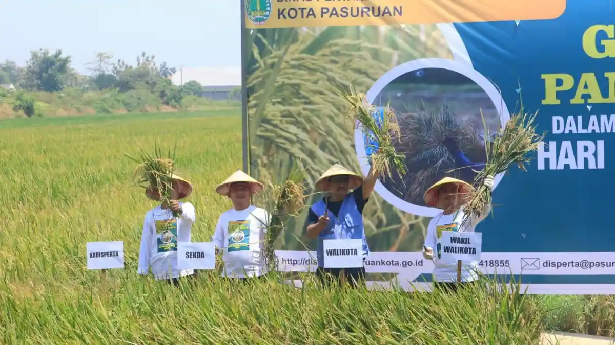 Gebyar Panen Raya, Gus Ipul: Petani Bagian Dari Ketahanan Pangan ...