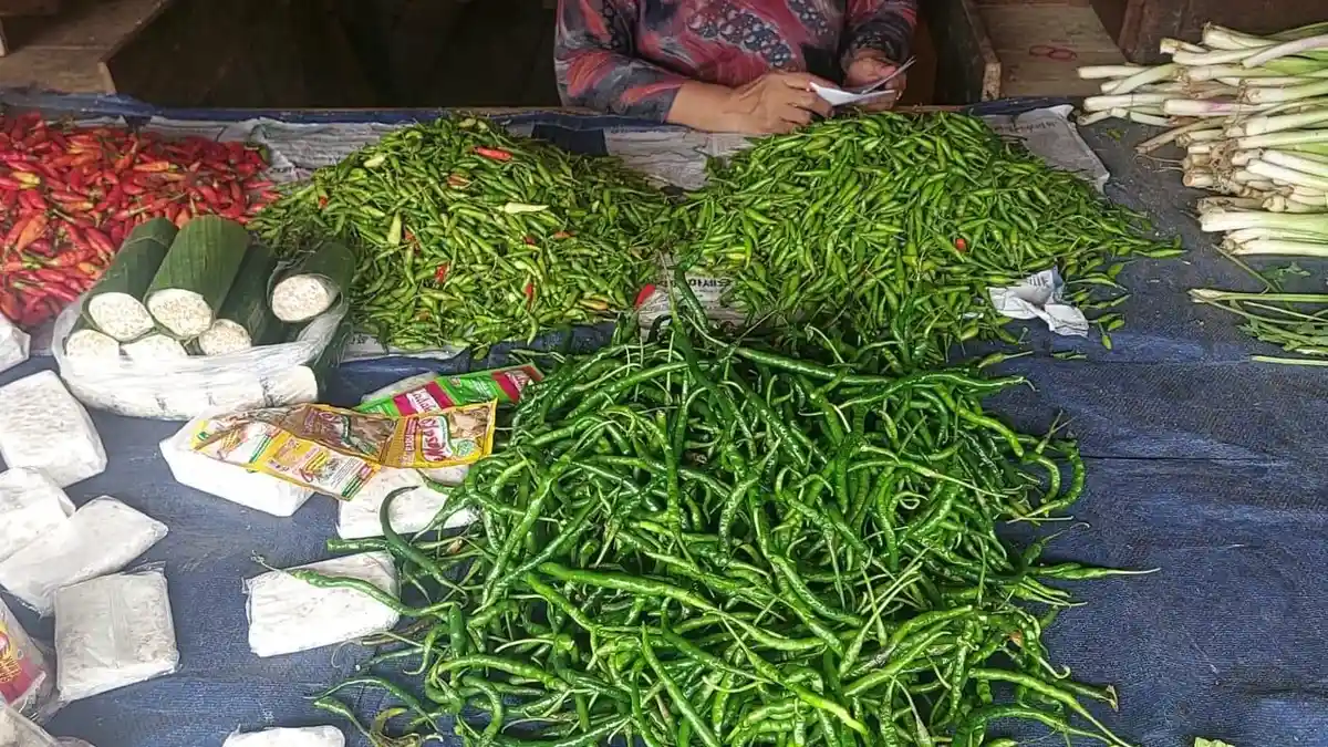Harga Cabai di Pasar Tradisional Kuala Tungkal Berangsur Turun