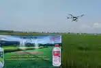 Ajinomoto Aplikasikan Pupuk Ajifol dengan Teknologi Drone untuk Dukung Pertanian Berkelanjutan