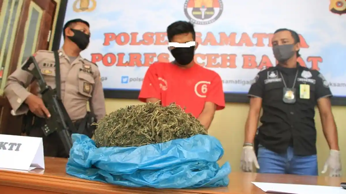 Polisi Amankan Warga Bersama Satu Bal Ganja Kering di Aceh Barat, Ini Faktanya         