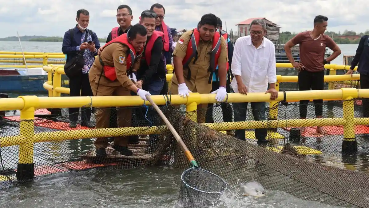 Gubernur Kepri dan Bupati Bintan Panen 10 Ton Bawal Bintang Bersama Warga