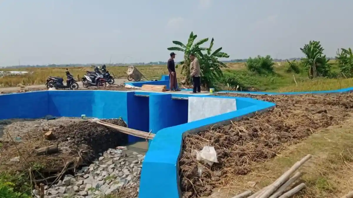 Kementan Gandeng Gubernur se-Indonesia Antisipasi Dampak La Nina