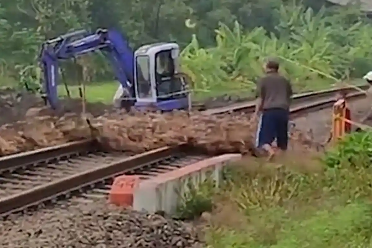 Viral 30 Bebek Mati Dilindas Kereta Api di Sidoarjo