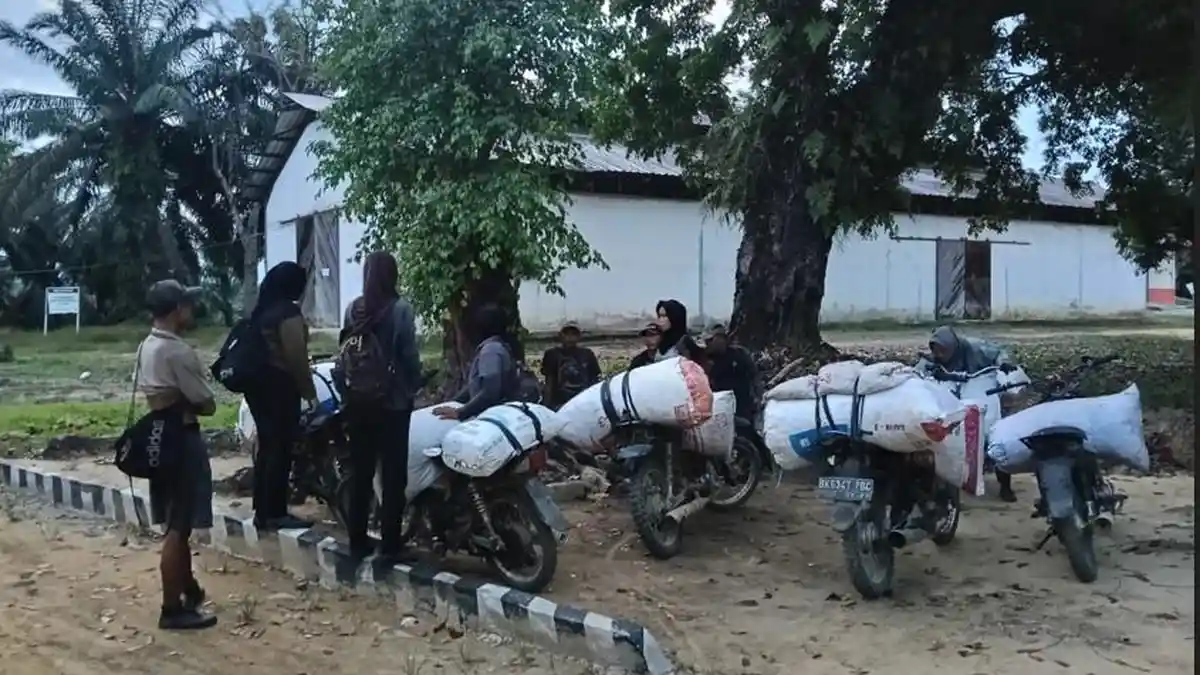 Curi 600 Kg Sawit, 10 Pria dan Wanita Tertangkap Basah Mencuri di Langkat