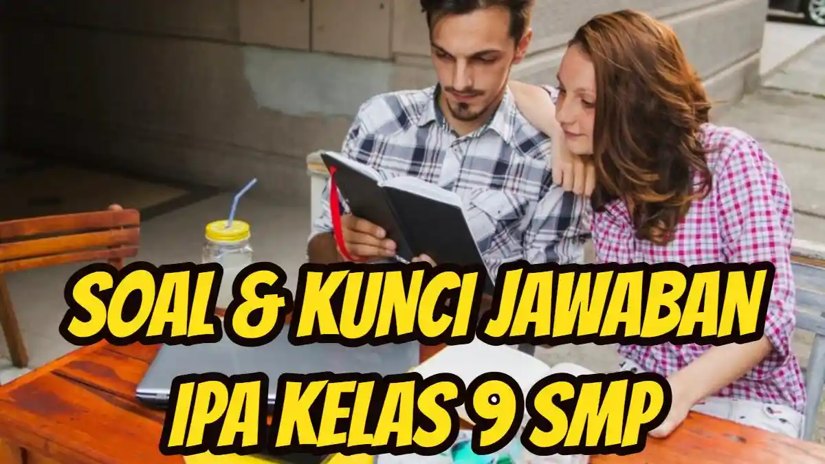 Mengapa di Daerah yang Pohonnya Ditebang Jumlah Nitrat Lebih Tinggi? IPA Kelas 9 SMP Hal 199 200