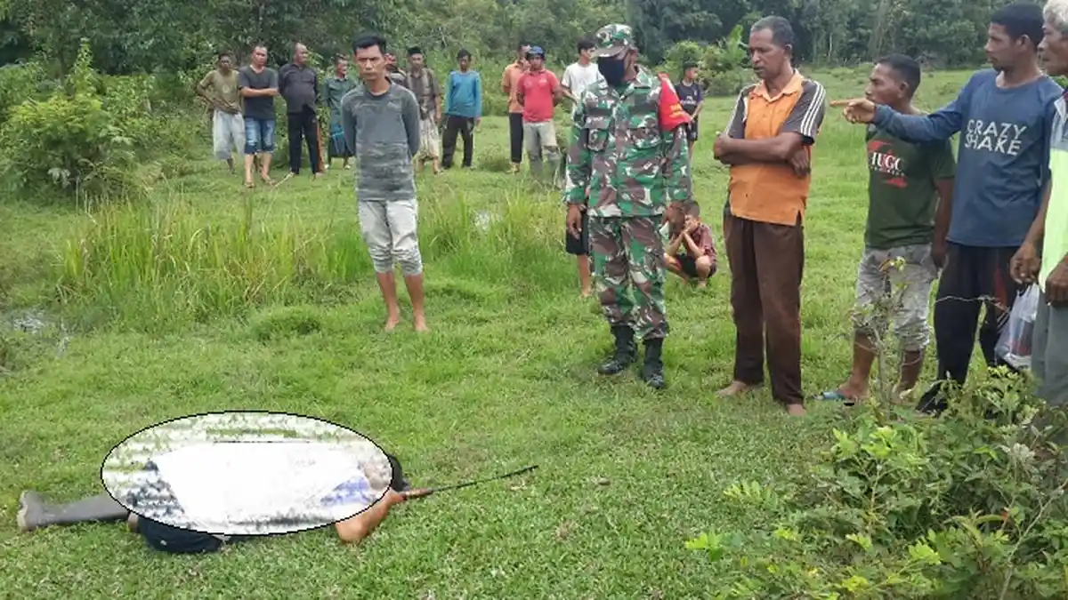 Petani di Aceh Barat Tewas Ditebas, Korban Diketahui Berencana Memperluas Kebunnya