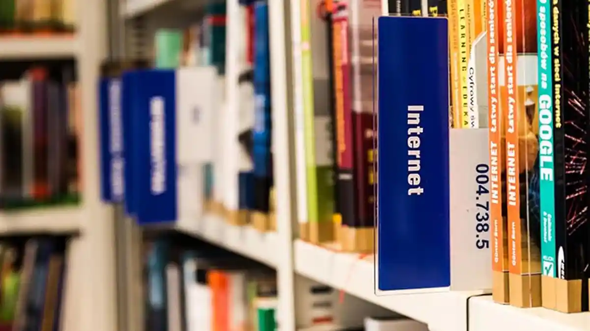 Literasi Digital Kota Denpasar Tak Bisa Diakses, Tata Kelola Perpustakaan Diusulkan Jadi Perda