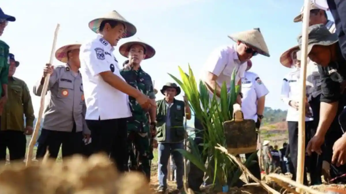 Pemkab Konawe Utara Bangun Ketahanan Pangan Lewat Sinergi TPID dan Program Produksi Berkelanjutan