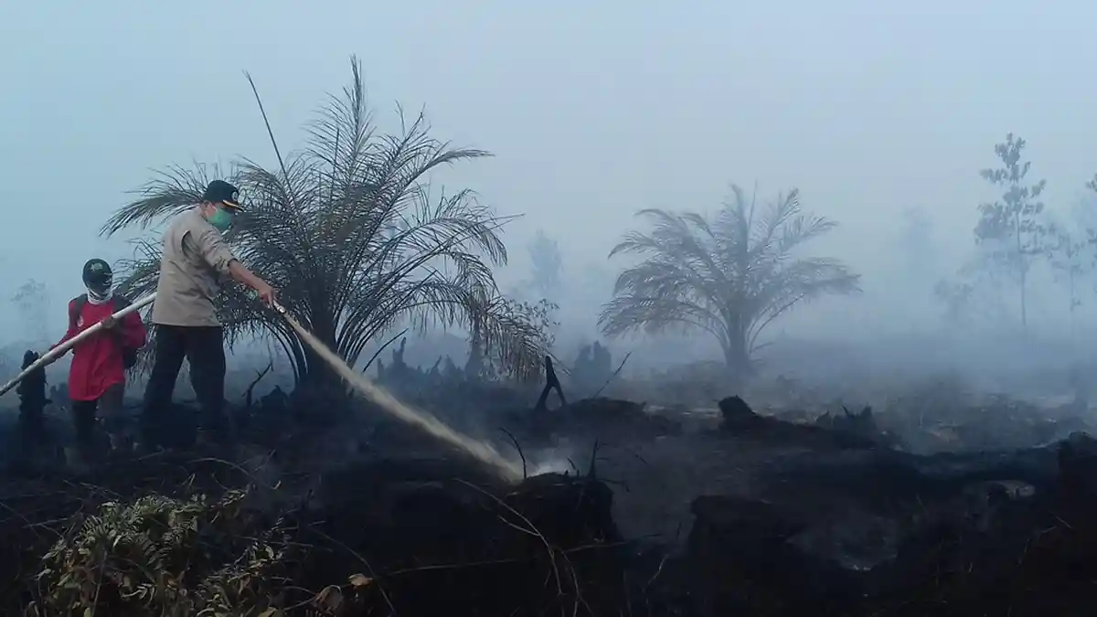 Warga Desa Arang Arang Mulai Terpapar Asap Kebakaran Gambut