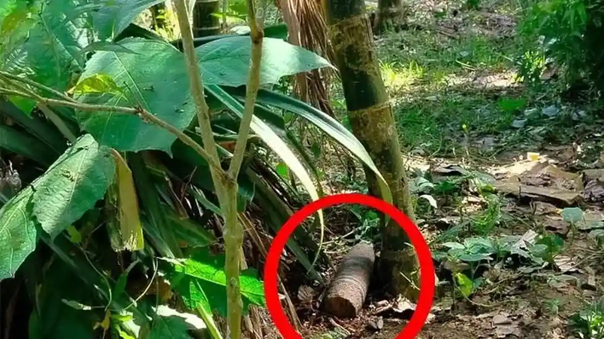 Mortir Aktif Perang Dunia II Gegerkan Warga Doyo Grand Jayapura