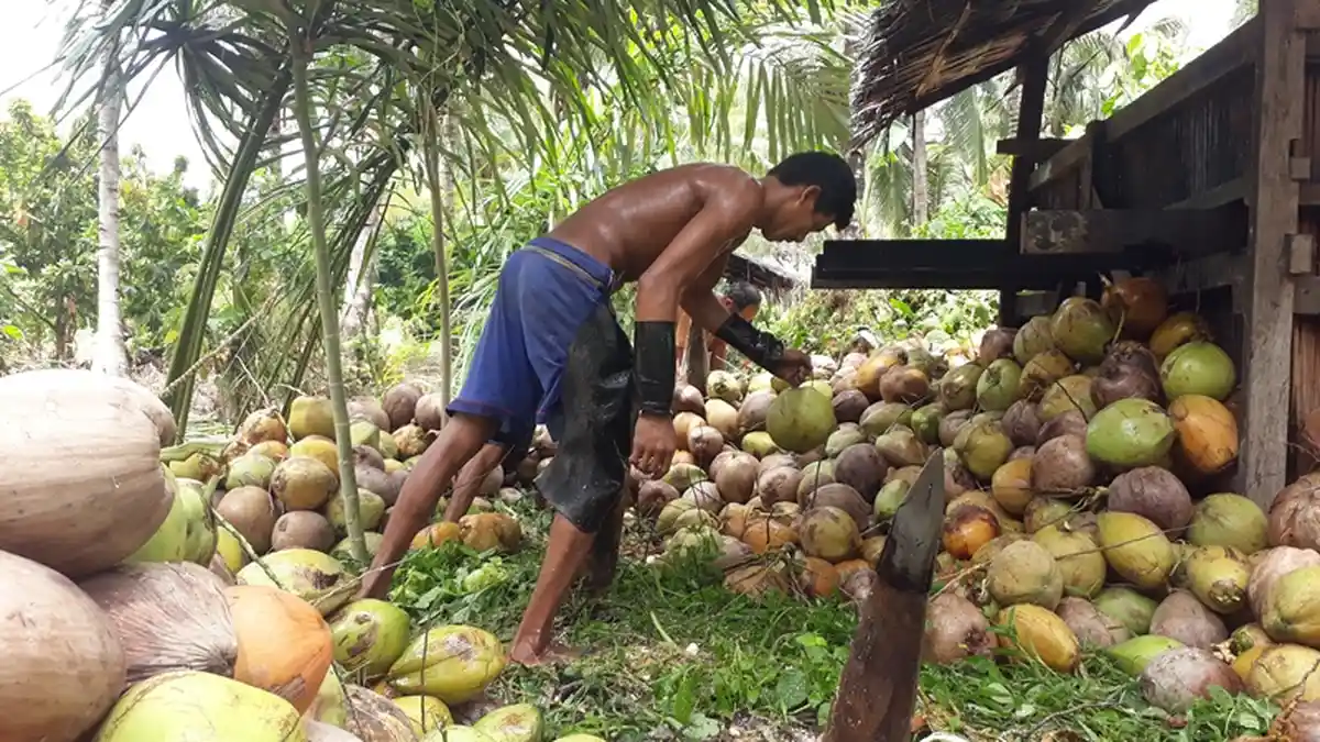 Tekan Angka Penganguran 4 Persen, Disnakertrans Boltim Buka Pelatihan Kerja