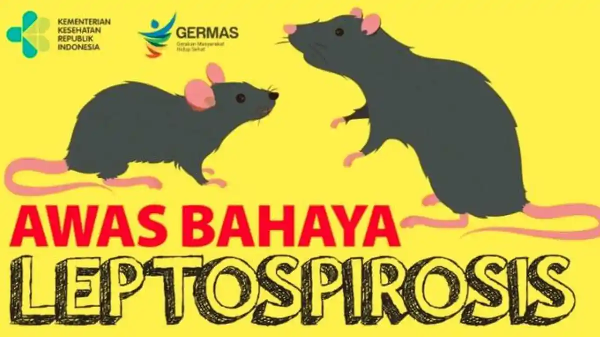 Apa itu Leptospirosis? Penyakit yang Kerap Muncul saat Banjir Melanda