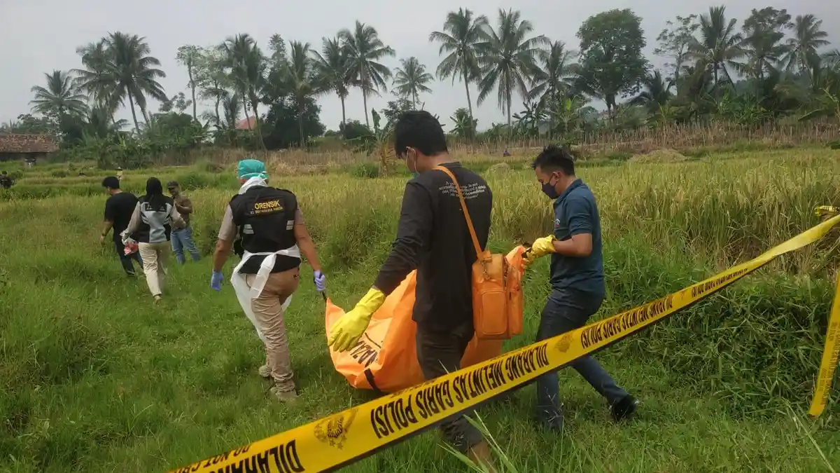 Identitas Mayat Pria yang Ditemukan di Tengah Sawah Padarincang Serang Terungkap