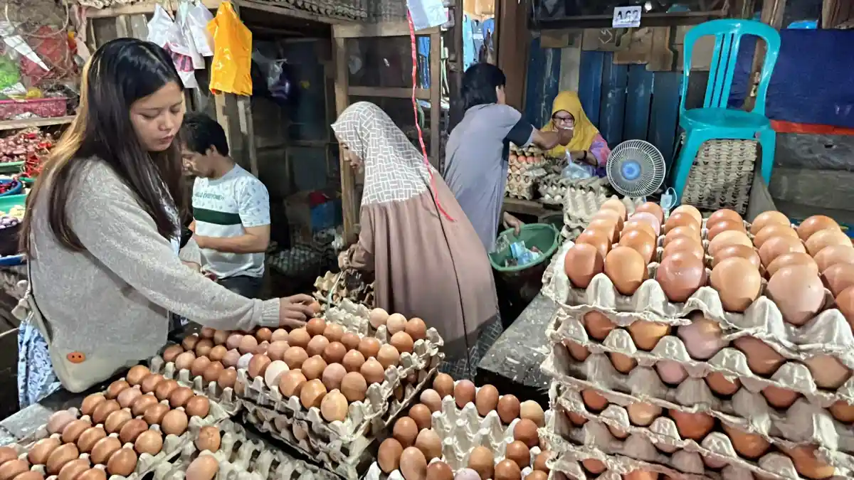 Harga Telur per Rak di Pasar Kendari Sulawesi Tenggara Naik Jelang ...