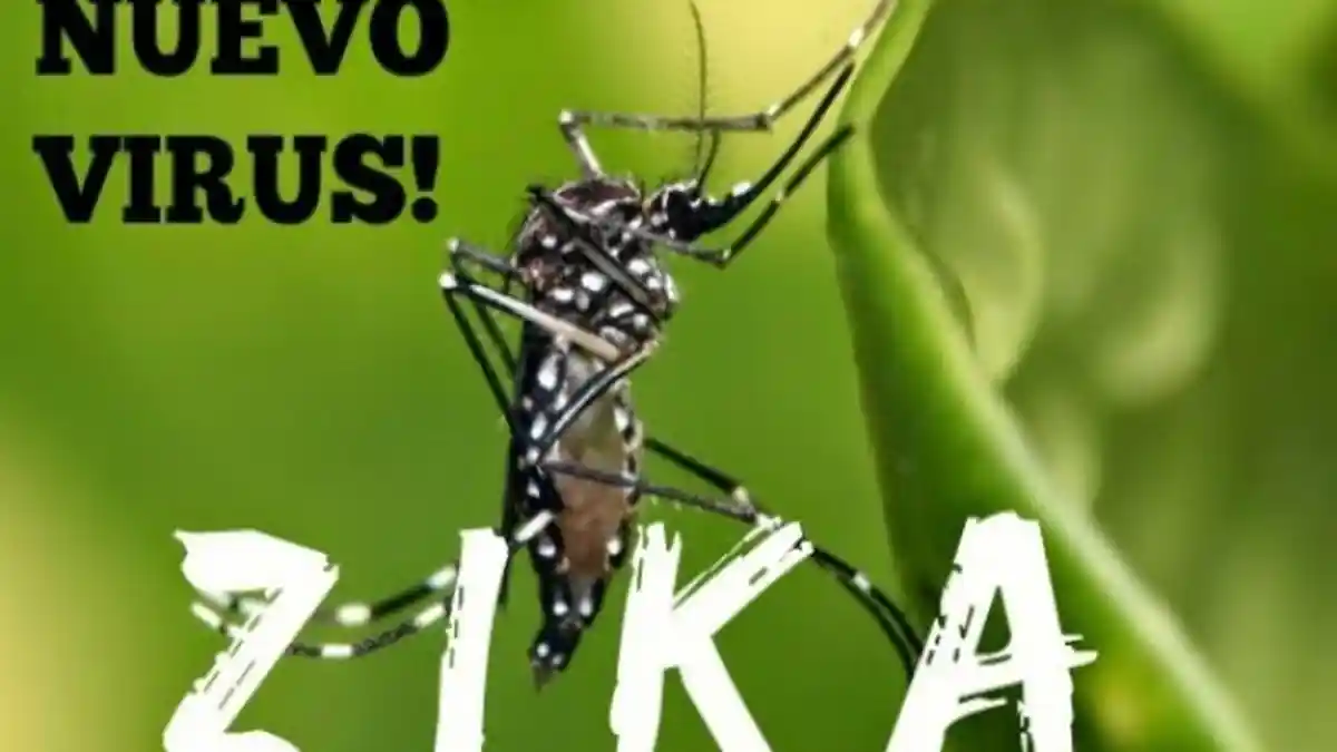 Racun Anti-Zika Membunuh Jutaan Lebah di Amerika