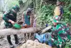 Warga dan Satgas Yonif 143/TWEJ Panen Sagu di Perbatasan RI PNG