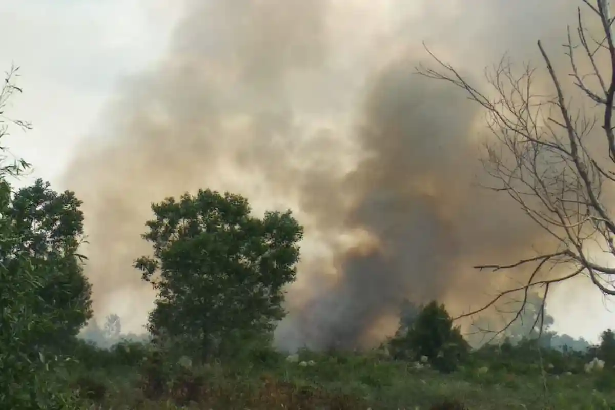 Lahan Warga di Sadu yang Berbatasan dengan TNB, Terbakar Sejak Kemarin, Petugas Masih di Lokasi