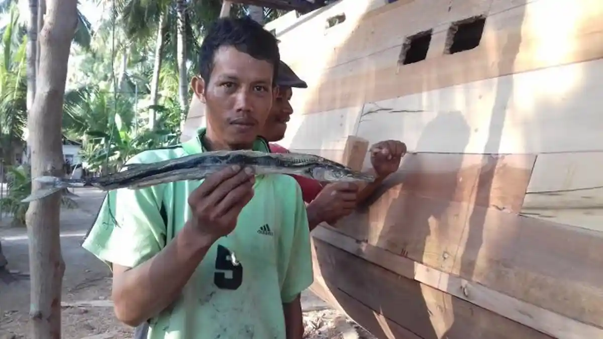 Inilah Ikan Sori yang Nyaris Tewaskan Pemancing, Moncongnya Nancap di Leher