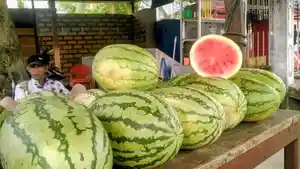 semangka-buah-primadona-untuk-berbuka-di-Abdya.jpg