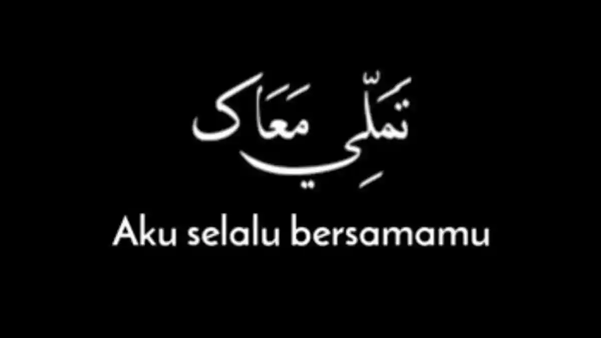 Lagu Tamally Ma'ak Lirik Arab, Latin dan Terjemahan Indonesia