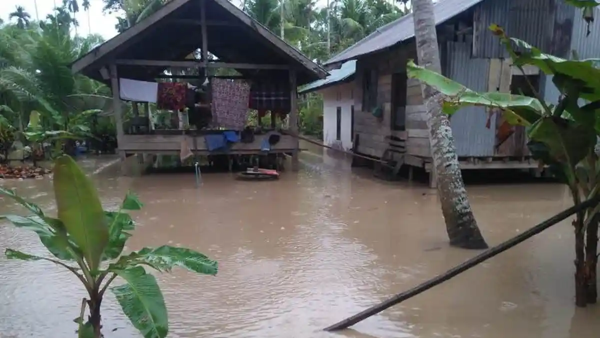 Banjir di Aceh Utara Meluas Lagi Sampai Lima Kecamatan Terendam