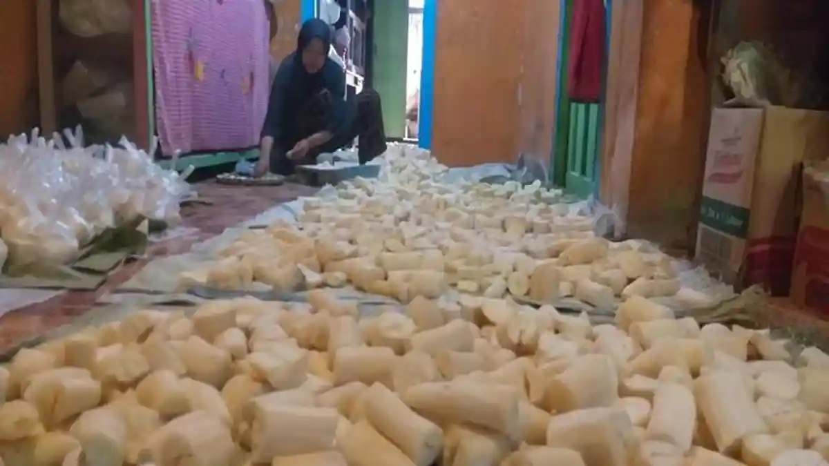 Tape Singkong Kuliner Khas Pagar Alam Jadi Makanan yang Paling  Dicari Saat Ramadhan