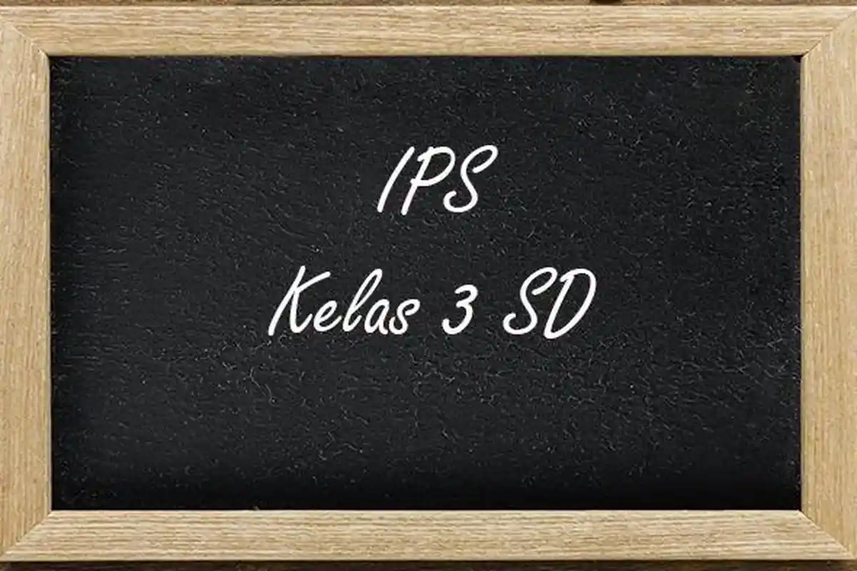 60 Soal dan Jawaban PTS IPS Kelas 3 SD Semester 1 Kurikulum Merdeka 2025