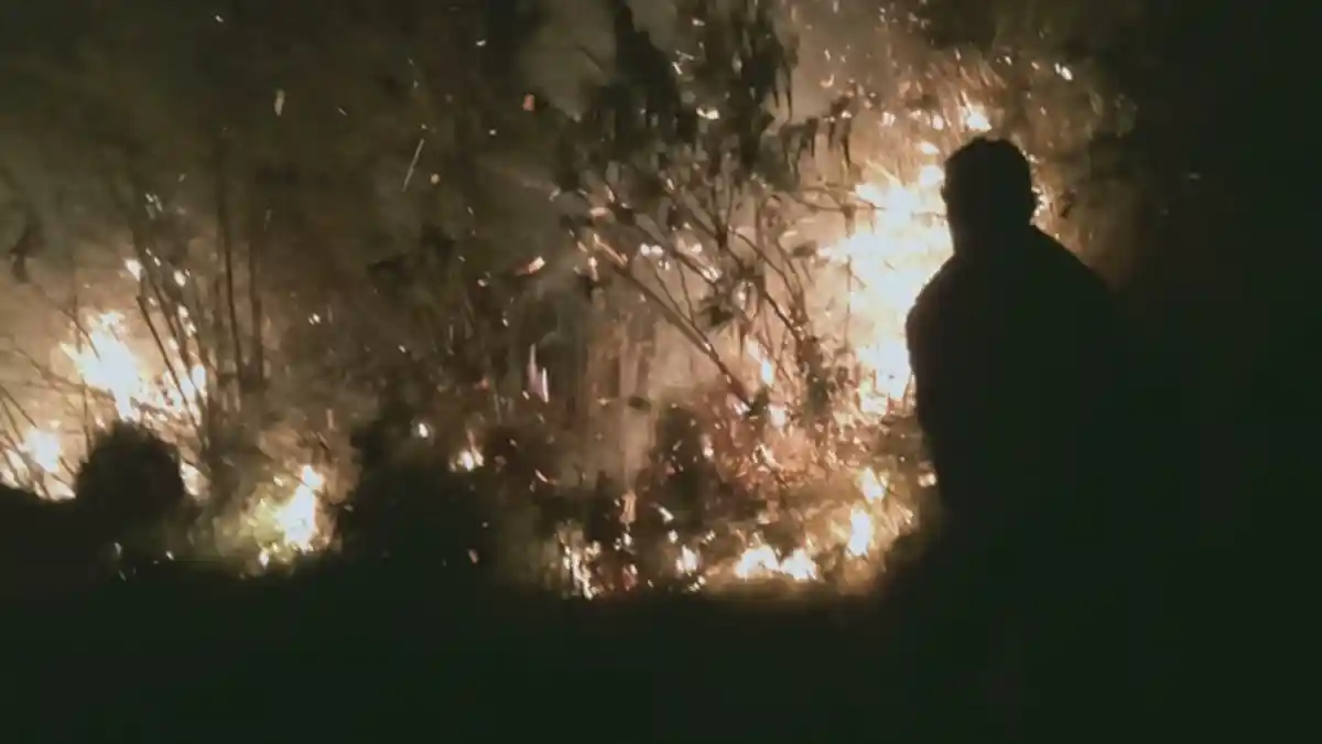 Kepala BPBD Toba Ngeluh tak Pernah Dibantu Dinas Kehutanan saat Tangani Kebakaran Hutan