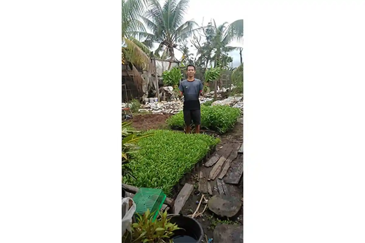 Manfaatkan Pekarangan Untuk Bercocok Tanam, Sarjana Keperawatan Ini Harap Sambas Mandiri Pangan