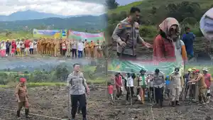 program-ketahanan-pangan-melalui-pengembangan-jagung-satu-juta-hektar.jpg